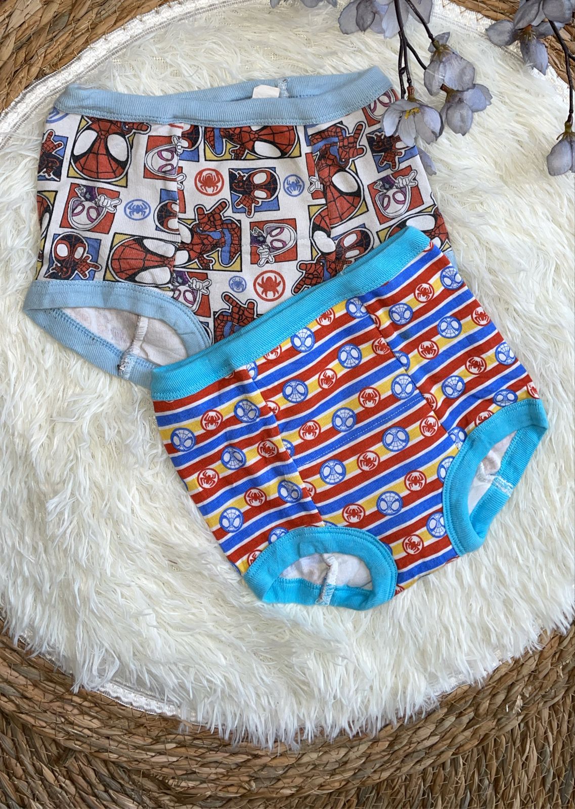 SPIDEY AMAZIG FRIENDS