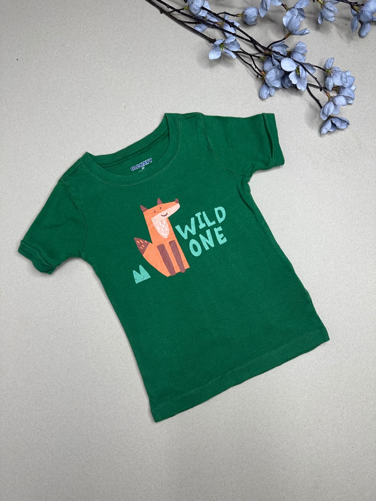 Old navy