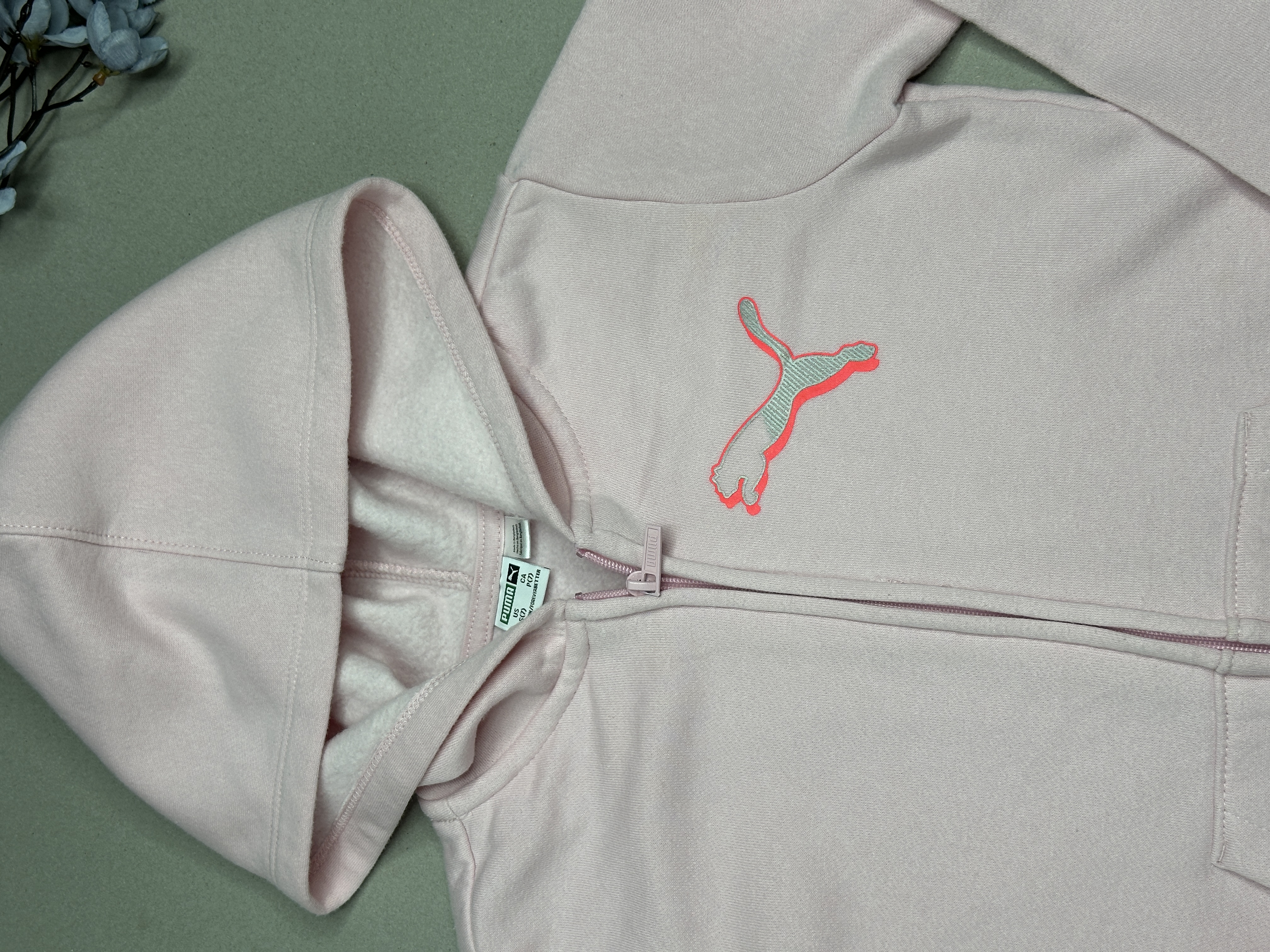 Puma