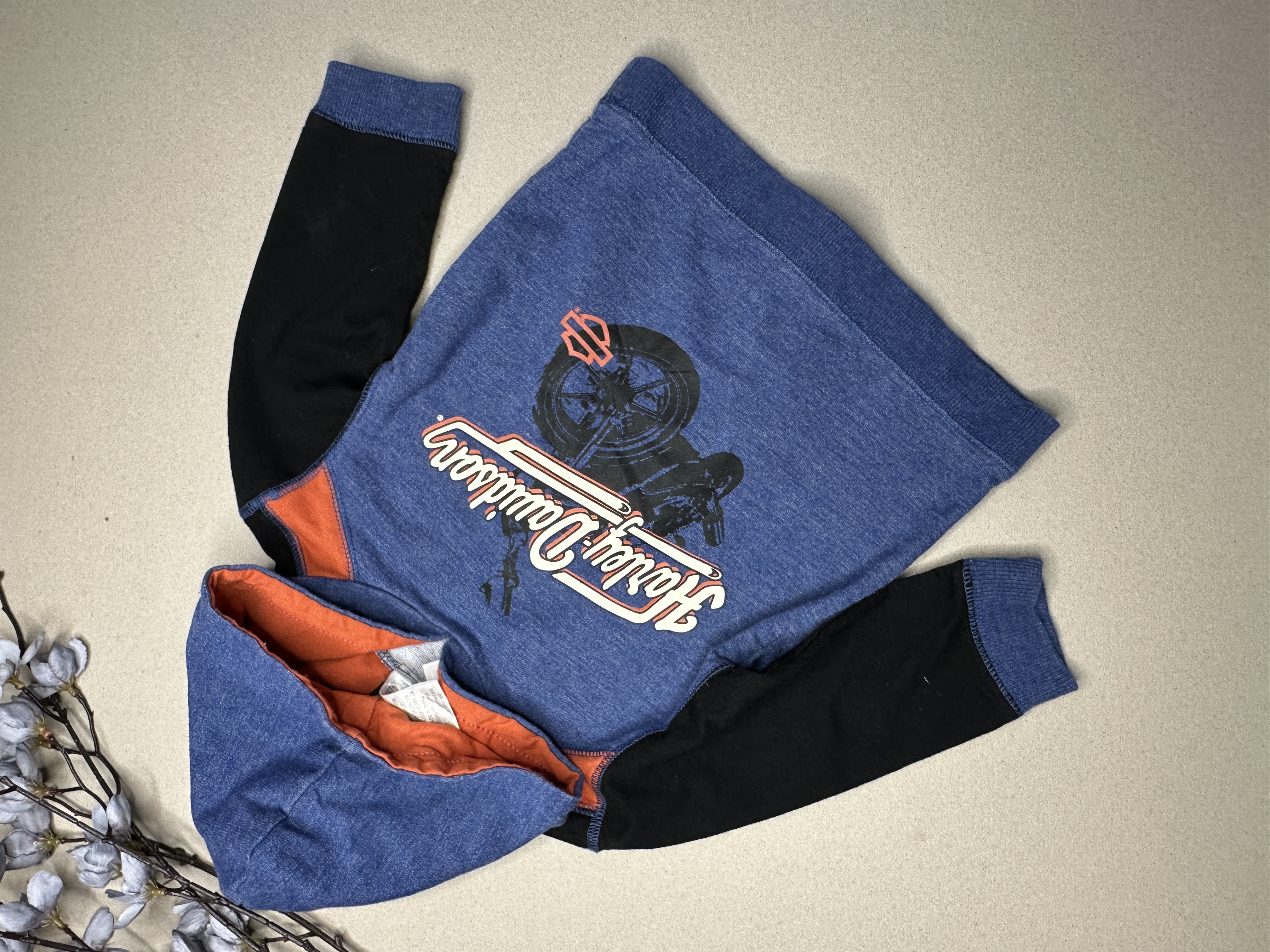 Harley-davidson