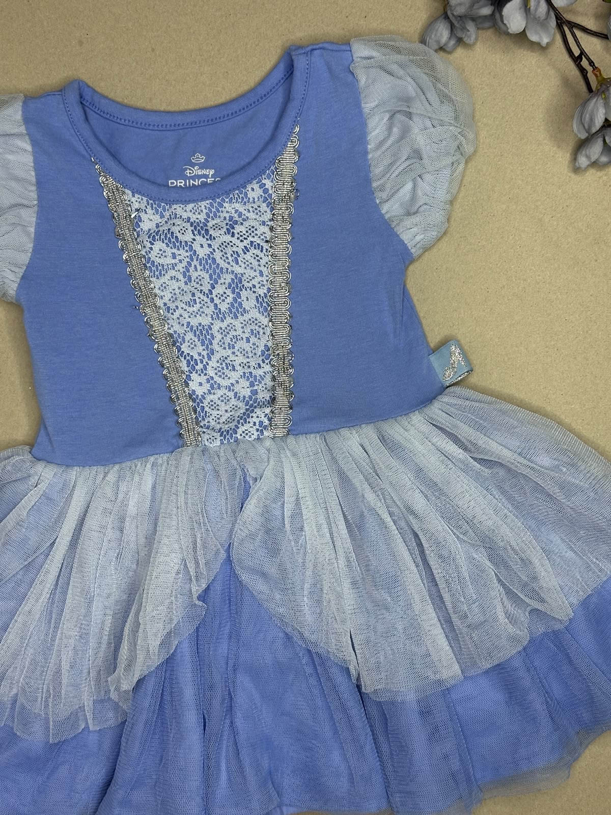 Disney princess